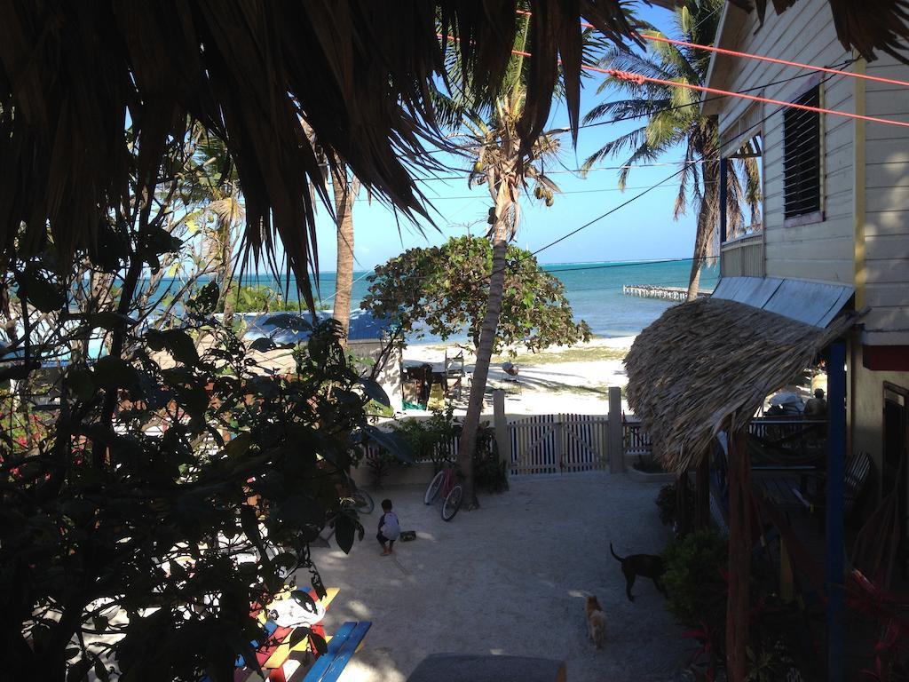 De Real Macaw Caye Caulker Room photo
