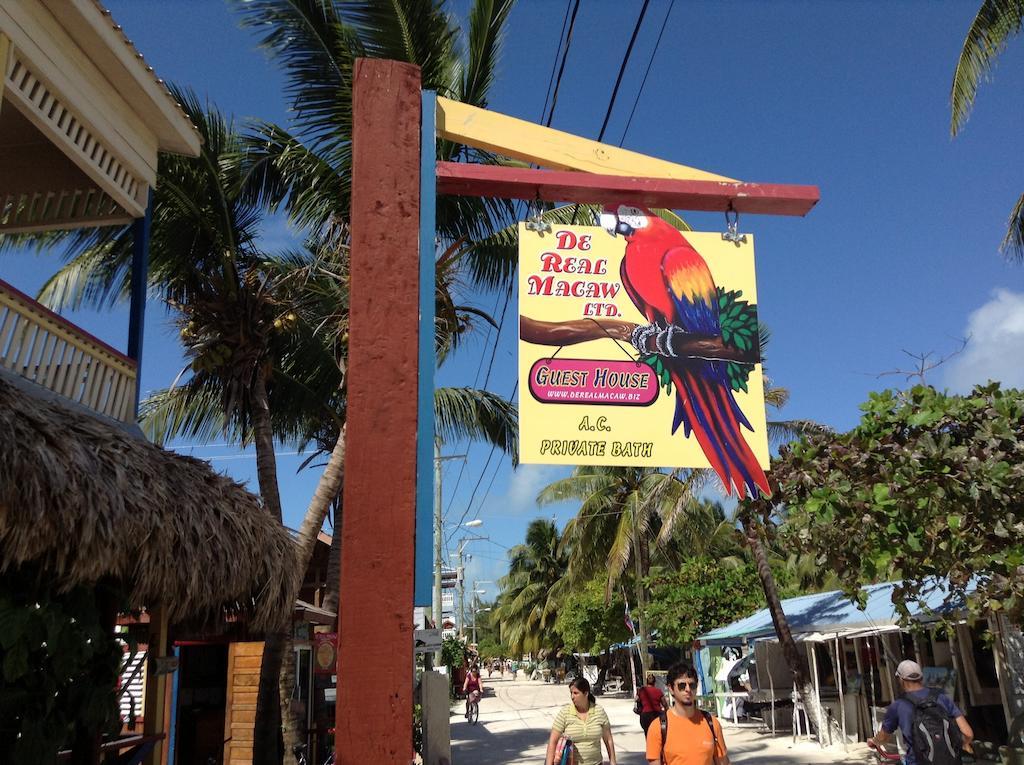 De Real Macaw Caye Caulker Exterior photo